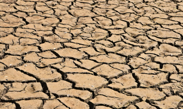 La Alianza por el Clima convoca un encuentro por la justicia climática el 1 de junio en Bilbao