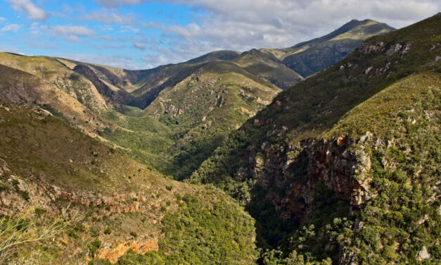 Por qué Sierra Morena se llama así